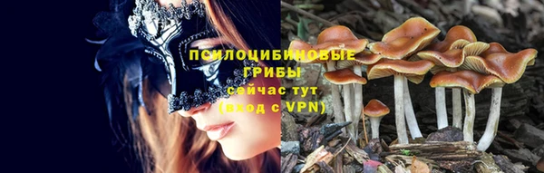 экстази Абаза