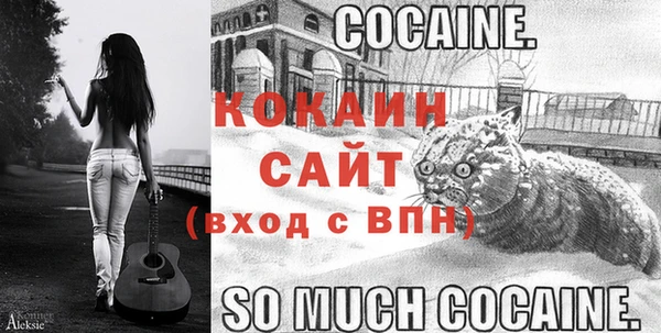 гашик Абинск