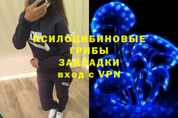 МДПВ Горно-Алтайск