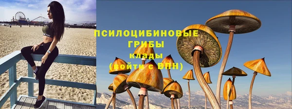 гашик Абинск