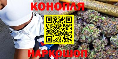 сатива Рязань