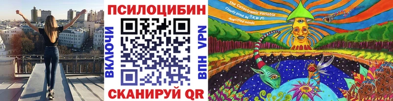 купить наркотики цена hydra зеркало Галлюциногенные грибы Cubensis Скопин