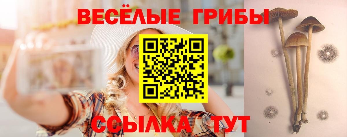 Псилоцибиновые грибы мухоморы  где купить   Скопин  Псилоцибиновые грибы MAGIC MUSHROOMS  Вход с VPN 